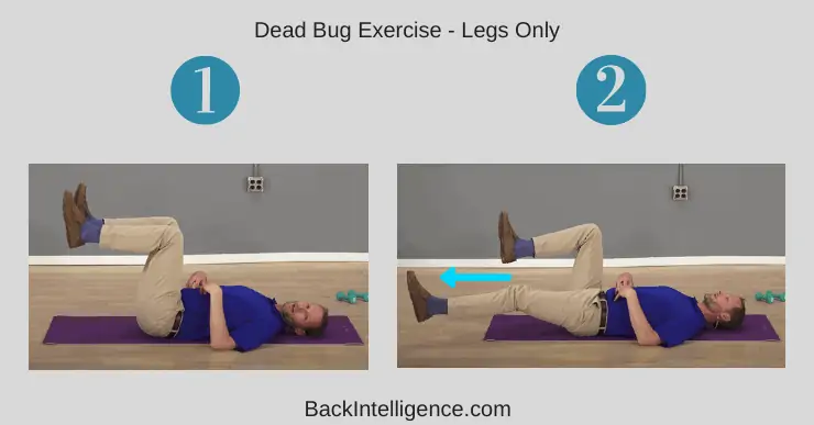 Dead Bug Exercise - Legs Only