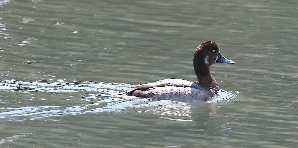 ４月６日の様子