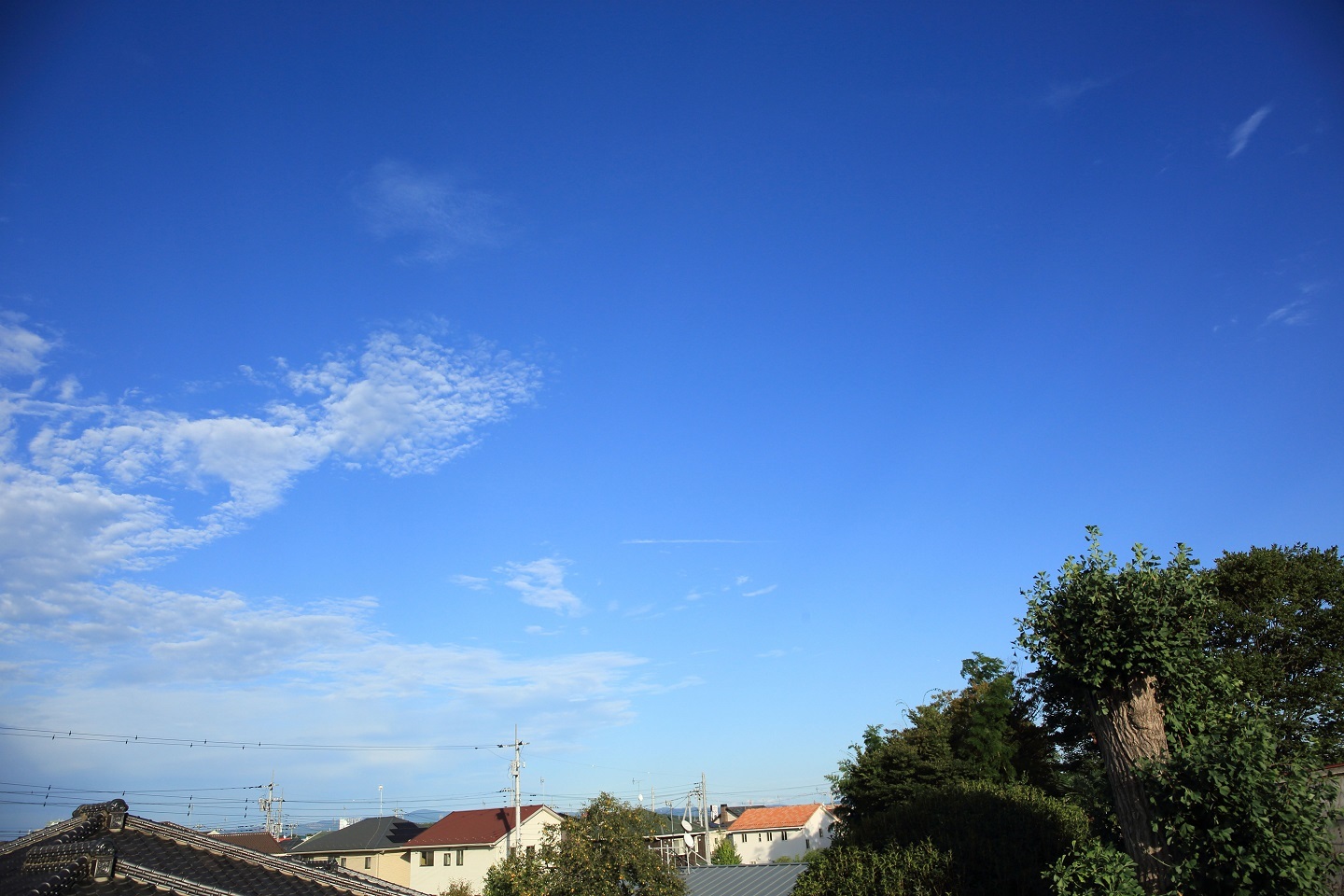 ブログ 2019 9 20 秋彼岸のベランダから.jpg