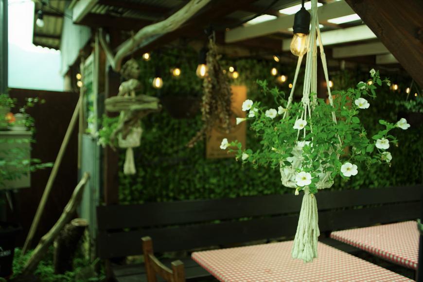 カフェに咲く花