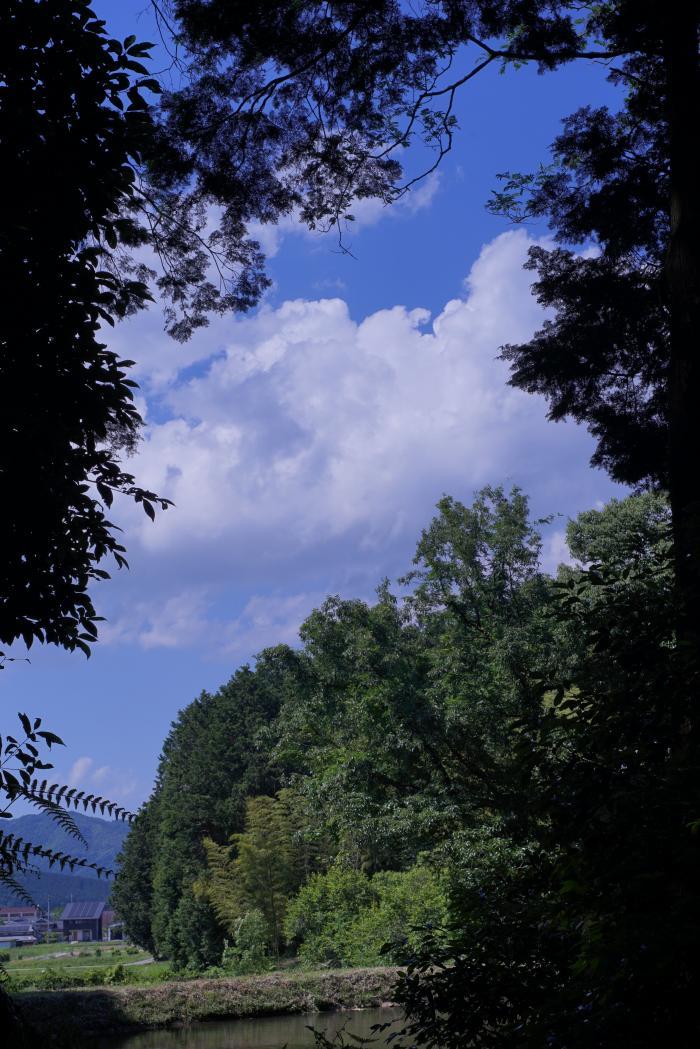 初夏の日差しと空1