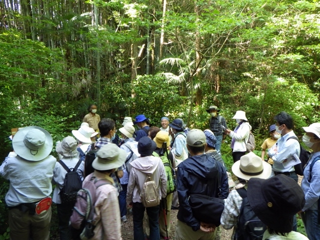 クサギの谷RIMG7090 (640x480)