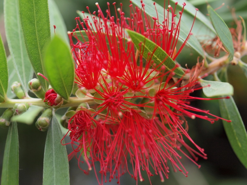 フォーサーズ徒然061