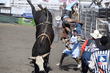 blog 28D5 Glennville, Bull Riding 8, Jesse Flores (NS 