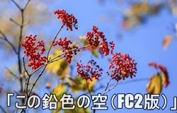 ◎●バナＡSPP2018・1・27日報入船_79-2border　03