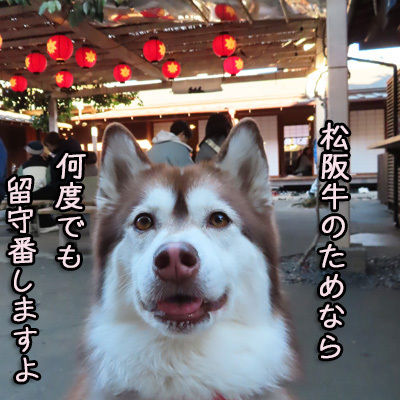 おかげ横丁 ハスキー マドレーヌ