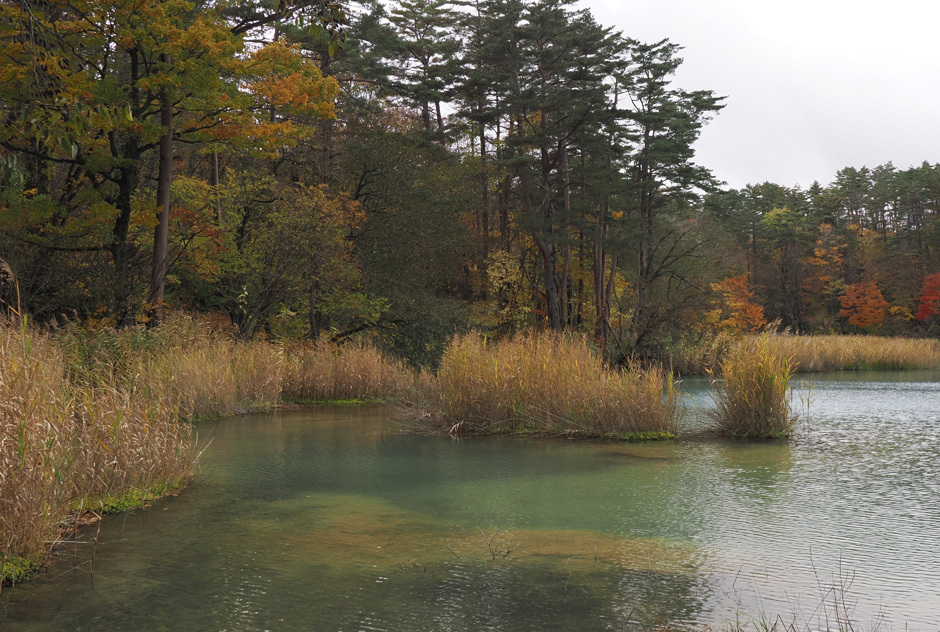 251103-30346 弁天沼 940×632