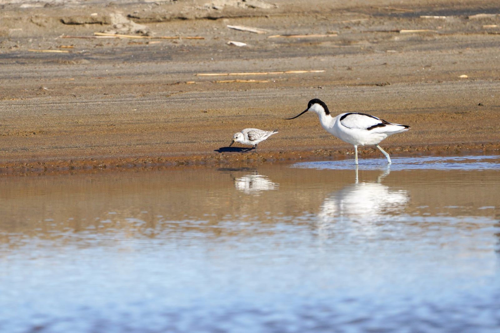 DSC02275 のコピー