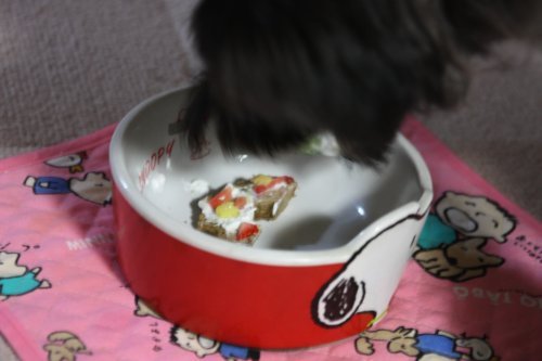 かりんと遊ぼっ♪