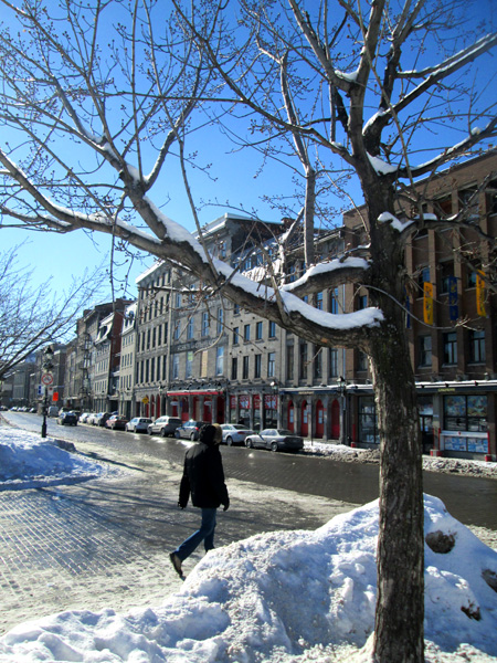 2014VieuxMontreal02-4.jpg