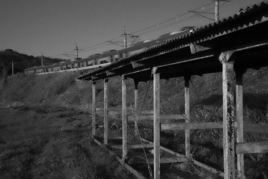 田舎道を散歩しながら・・・