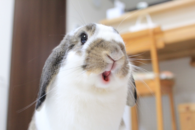 IMG_8156だいち0116