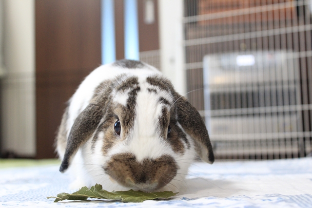 IMG_8272だいち0119