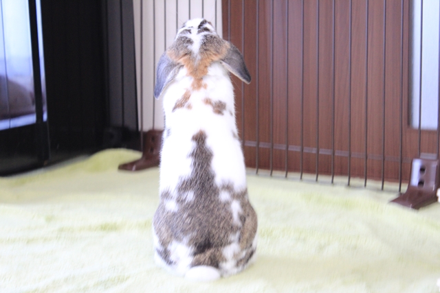 IMG_8307だいち0121