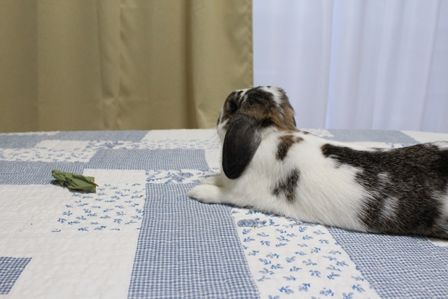 IMG_8713だいち0129