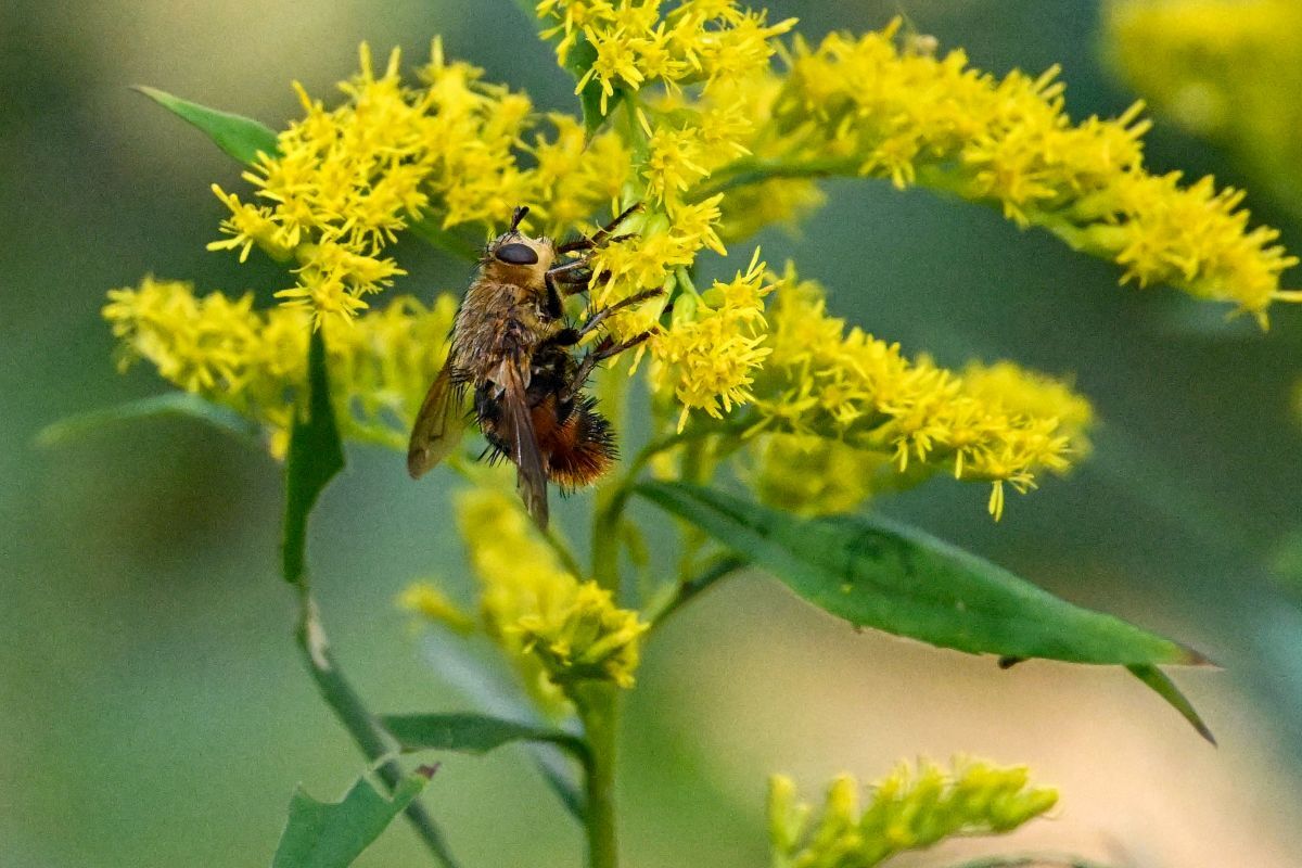 DSC_5112 のコピー