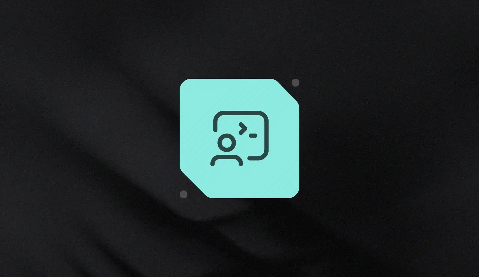 Basis Theory Developer Portal Upgrades