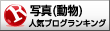 動物写真ランキング