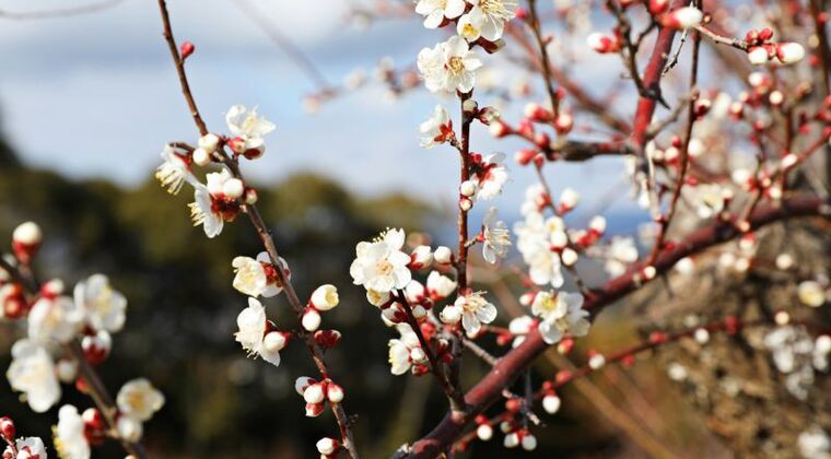 山崎元氏、朝倉智也氏、大江英樹氏の人気マネー本などが50％ポイント還元！Kindleストアでキャンペーン実施中