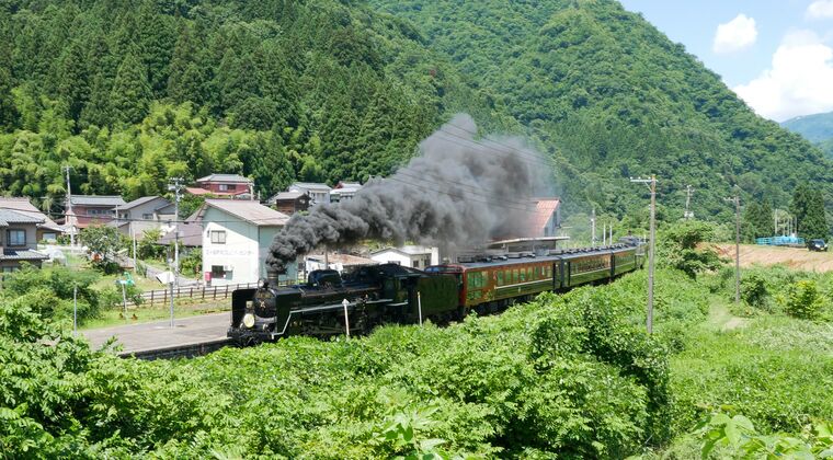 徘徊して真夏を撮って来ました(4)