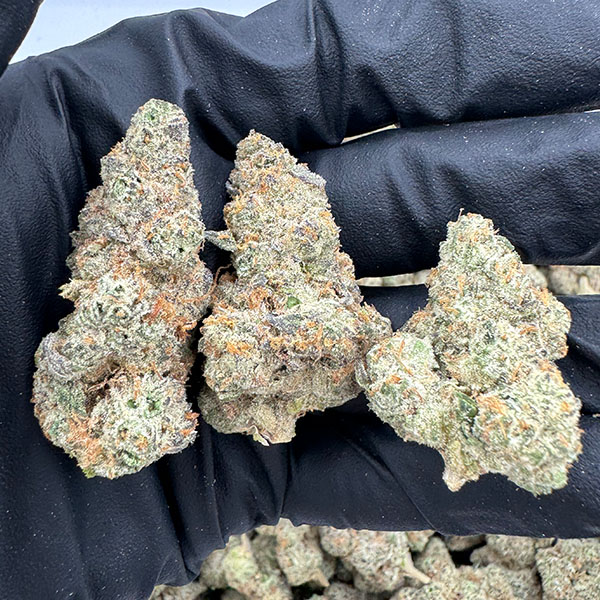 mule fuel og exotic thca flower