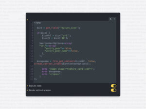 Bricks code element panel with custom PHP in it.