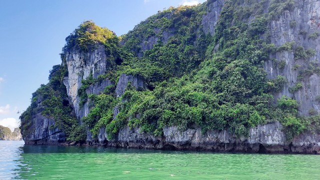 f:id:A-hanoi:20220728102134j:image