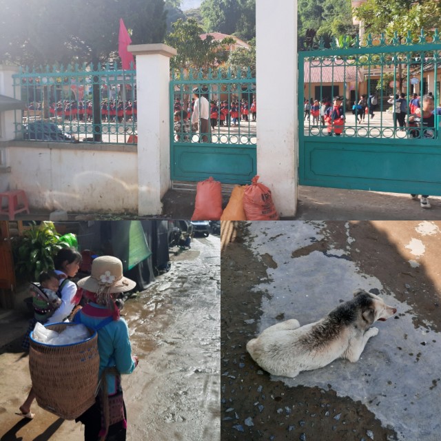 f:id:A-hanoi:20221207125350j:image