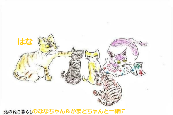 f:id:Betty0918:20210802165817p:plain