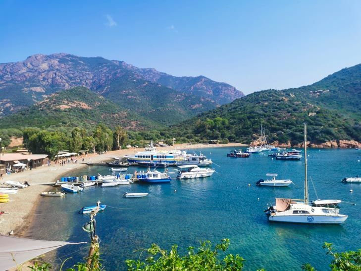 f:id:Chaco11:20210416165246j:plain