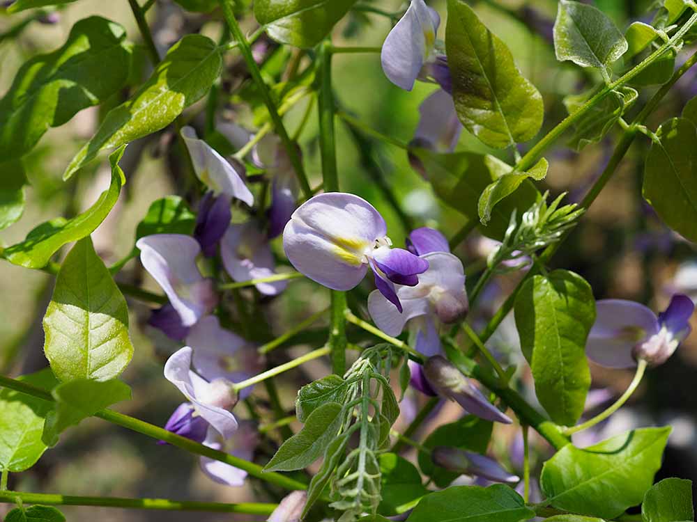 f:id:Etsuro1:20200418211857j:plain