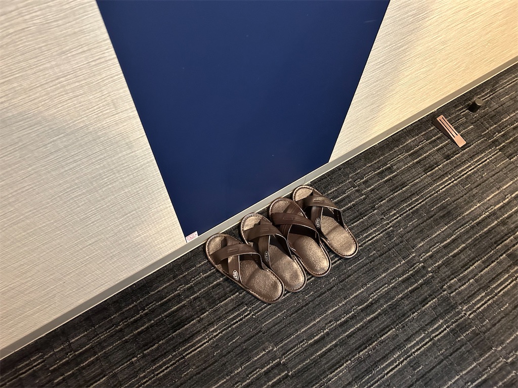 f:id:HAY0930:20251102084500j:image