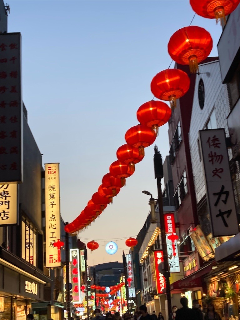 f:id:Magnoliarida:20210221185534j:image