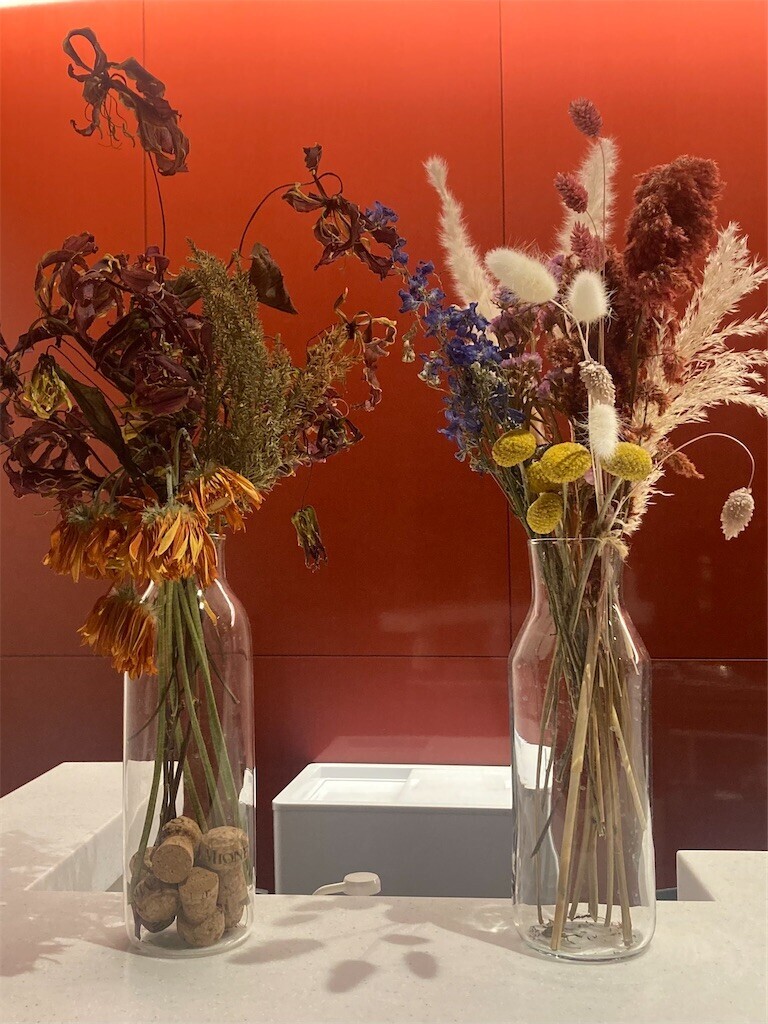 f:id:Magnoliarida:20230422233052j:image