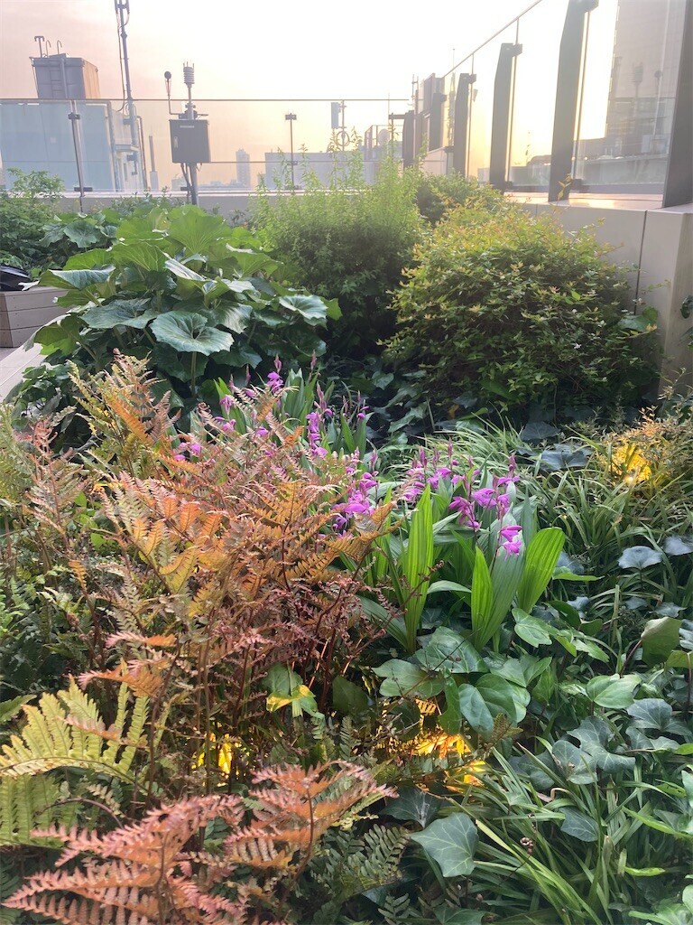 f:id:Magnoliarida:20230423000912j:image