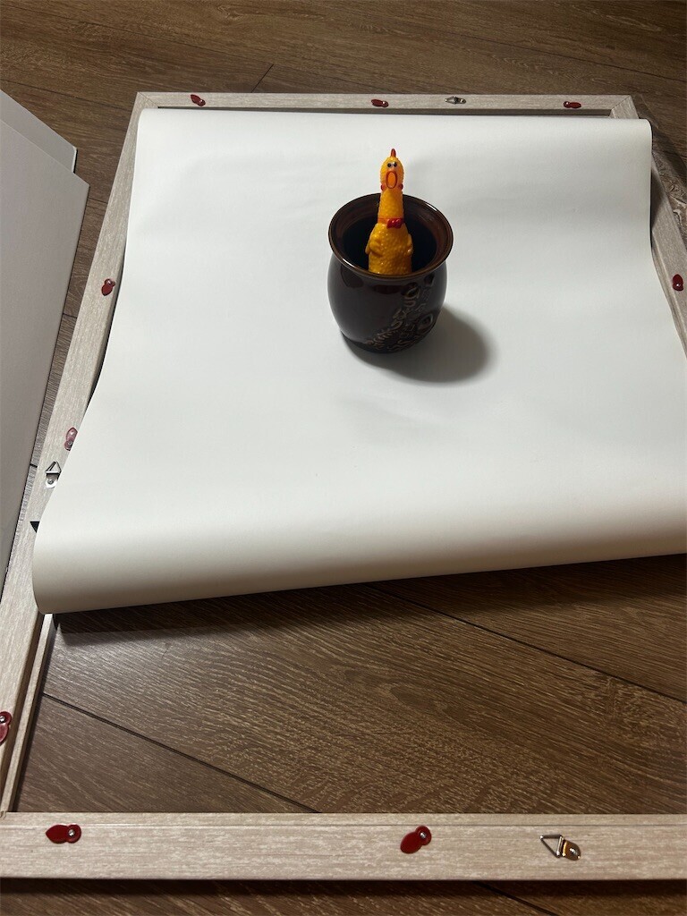 f:id:Magnoliarida:20250619220430j:image