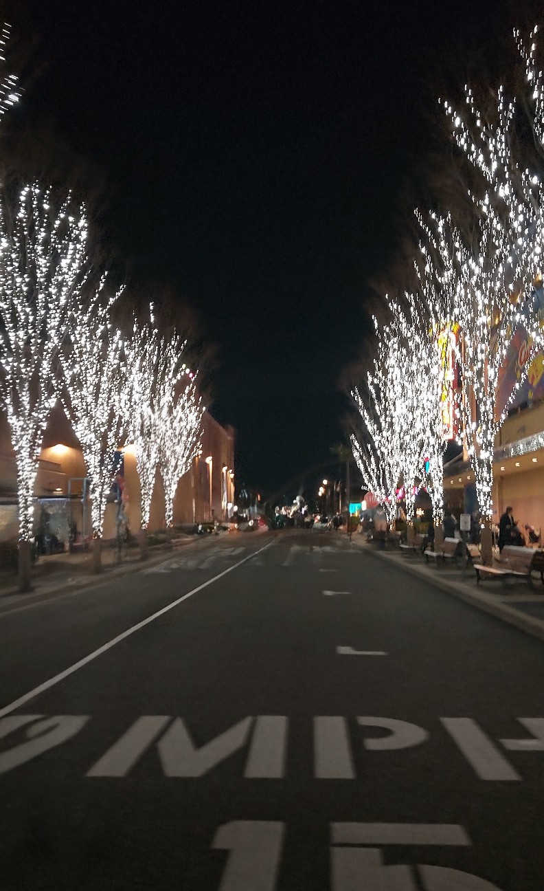 f:id:UMEKOKO:20251230063025j:image f:id:UMEKOKO:20251230063025j:image