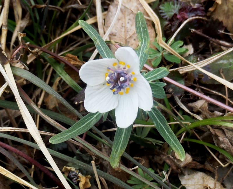 20130310_021 20130310_021