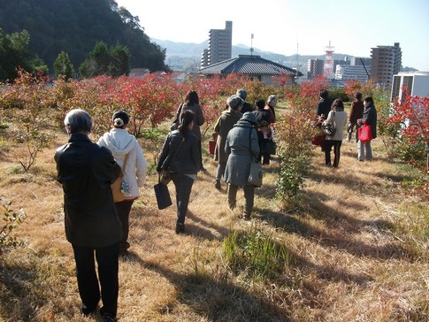 f:id:akinosato:20141210150941j:image f:id:akinosato:20141210150941j:image