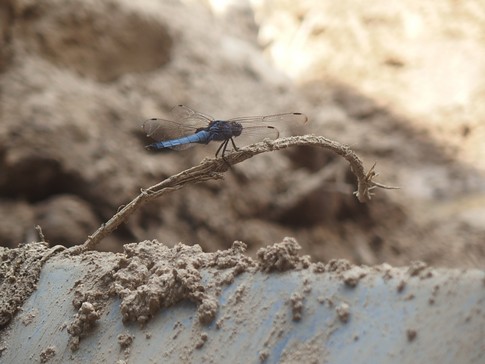 f:id:akinosato:20180712142522j:image f:id:akinosato:20180712142522j:image