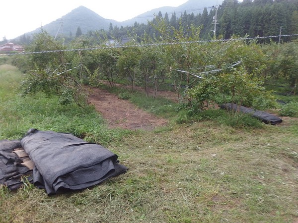 f:id:akinosato:20180917162418j:plain