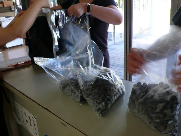 f:id:akinosato:20200813150650j:plain