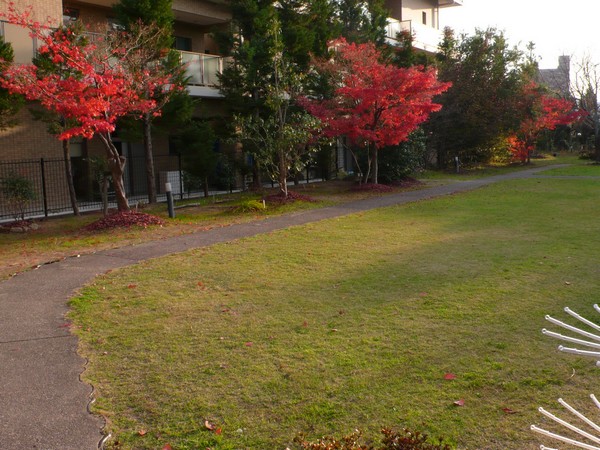 f:id:akinosato:20201208160412j:plain