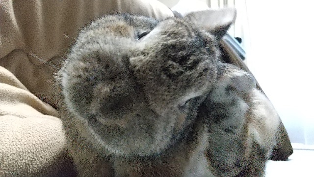 f:id:akirosso:20210122082847j:plain