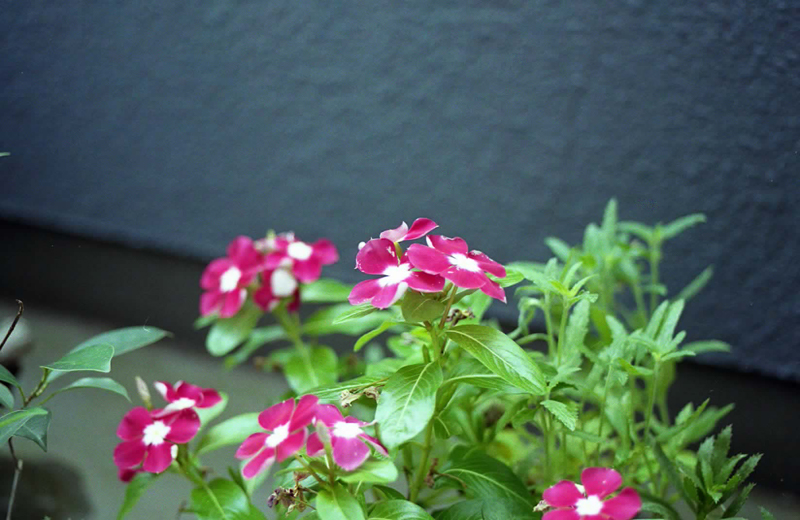 f:id:aremo-koremo:20150929181739j:plain