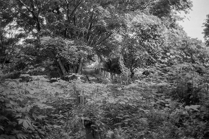 f:id:aremo-koremo:20180723161407j:plain f:id:aremo-koremo:20180723161407j:plain