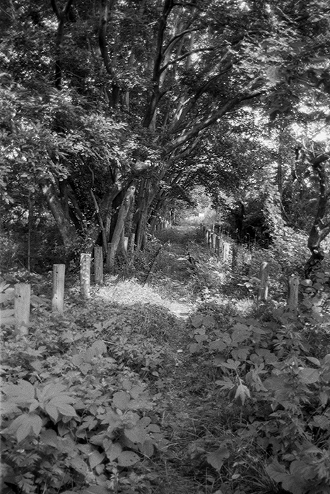 f:id:aremo-koremo:20180723163411j:plain f:id:aremo-koremo:20180723163411j:plain