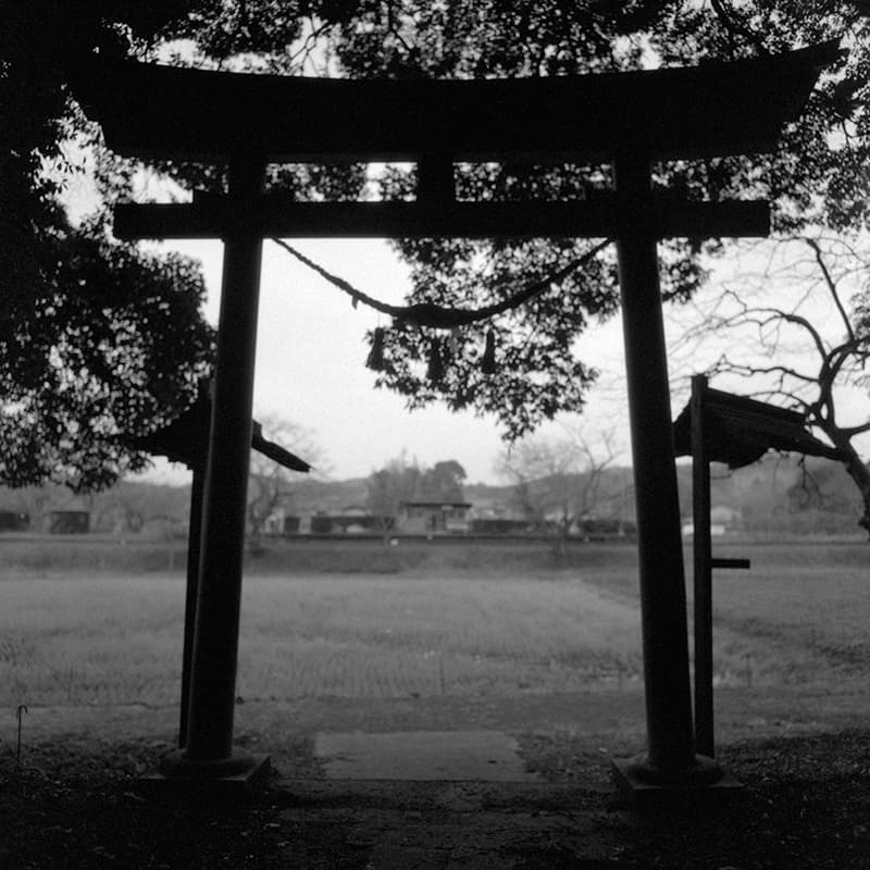 f:id:aremo-koremo:20190219163232j:plain