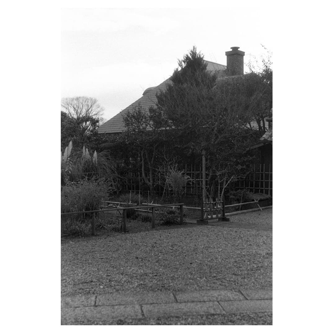 f:id:aremo-koremo:20201224162040j:plain