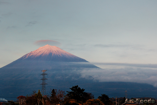 f:id:artfoods:20081118103228j:image